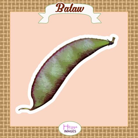 A Green Pea On A Pink Background With The Words Bataw In Red And White