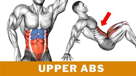 Do This To Get Ripped Upper Abs In Just 21 Days Youtube