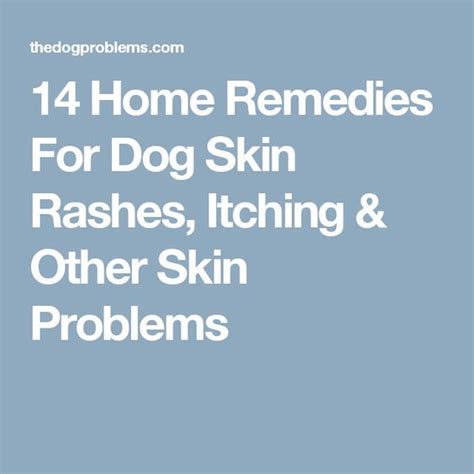 14 Home Remedies For Dog Skin Rashes Itching And Other Skin Problems