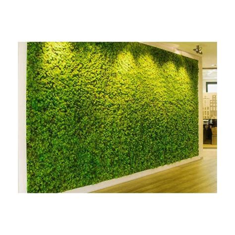 Synthetic Artificial Green Wall At Rs 85square Feet Okhla New