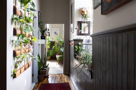 22 Of The Most Plant Filled Homes Weve Ever Seen Plants Apartment