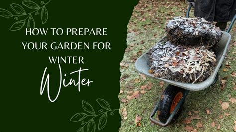 How To Prepare Your Garden For Winter First Fruits