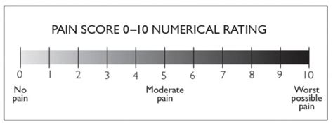 Numerical Scale Pointerpro