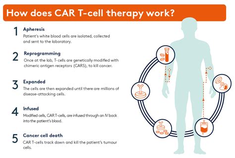 Car T Cell Therapy Diagram