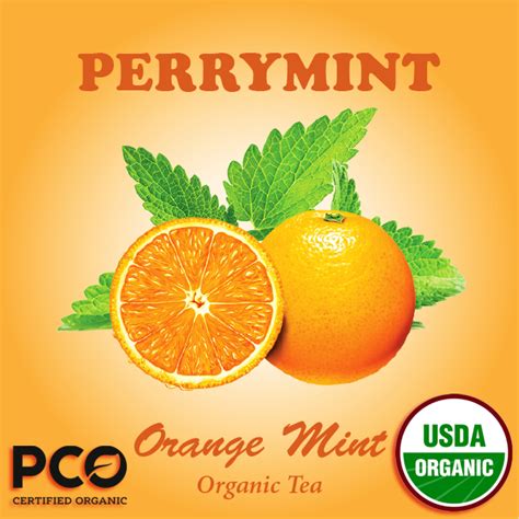 Orange Mint Perrymint