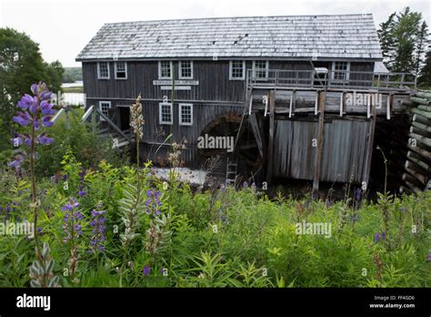 Canada nova scotia sherbrooke village hi-res stock photography and