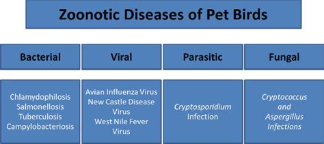 Viral Zoonotic Diseases - Gue Viral