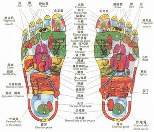 Tcm Diagnosis Foot Reflexology Dec 9th Oriental Medical Care