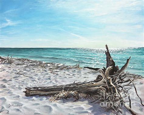 Gnarled Drift Wood By Joe Mandrick Beach Painting Beach Scenes