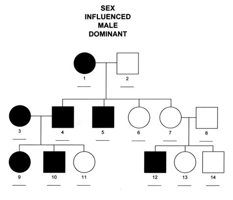 Y Linked Inheritance Example What Are The Different Ways A Genetic Condition Can Be Inherited