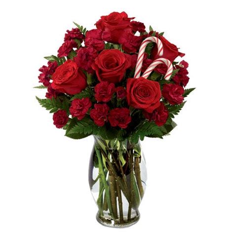 Flowers are one of the most beautiful creations of nature. Christmas Rose Candy Cane Bouquet at Send Flowers