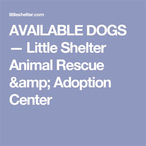 41 Adoptable Available Dogs — Little Shelter Animal Rescue And Adoption