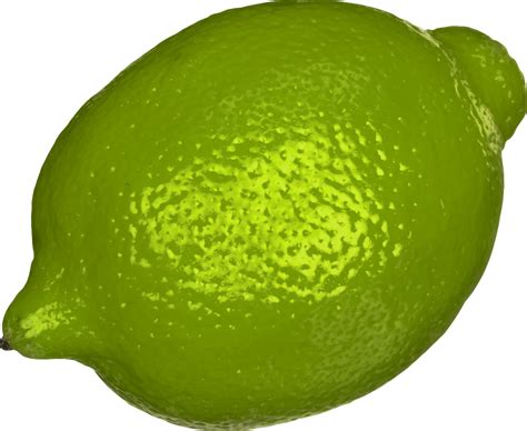 Onlinelabels Clip Art Lime