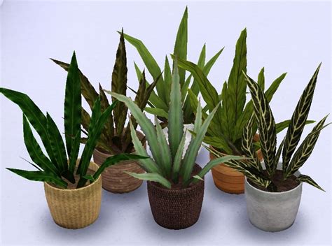 Suza Plants Plants Sims 4 Decor Sims 4 Cc Decor