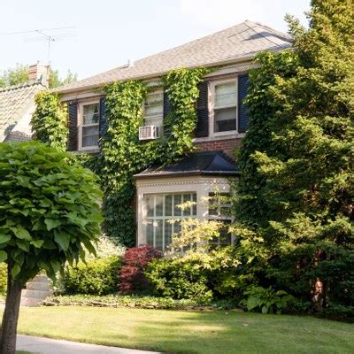 Roger's flooring, west chicago, il. West Rogers Park, Chicago IL - Neighborhood Guide | Trulia