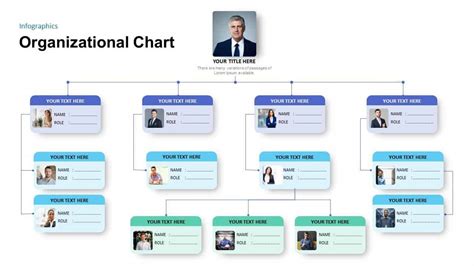 Create Organization Chart Online