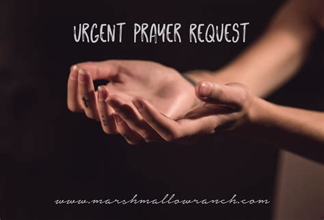 URGENT PRAYER REQUEST Marshmallow Ranch