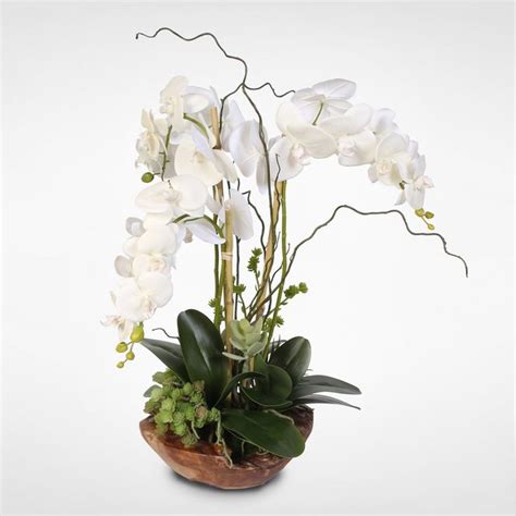 Phalaenopsis Silk Orchid With Succulents Floral Arrangement Silk