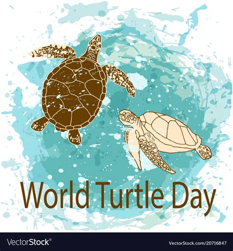 World Turtle Day Concept Royalty Free Vector Image