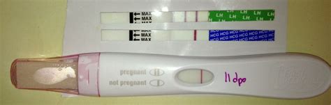Getting A Positive Pregnancy Test Then A Negative Pregnancywalls