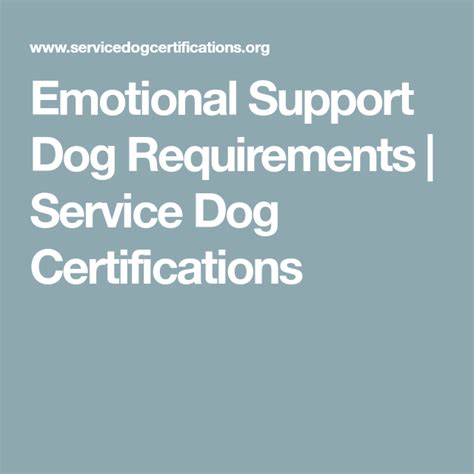 Emotional Support Dog Requirements | Emotional support dog, Emotional ...