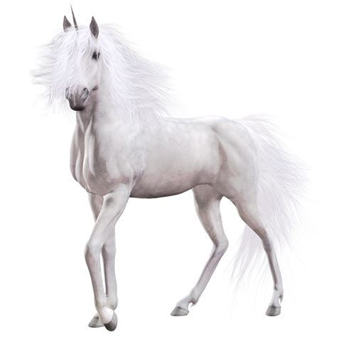 Unicorn Png Transparent Image Download Size 1750x1750px