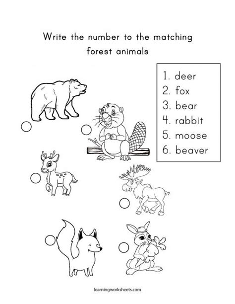 Write The Number To The Matching Forest Animals Learning Worksheets