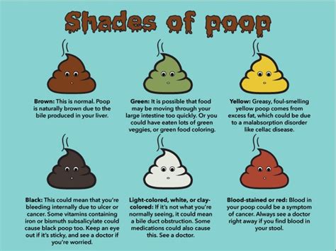I rarely eat the same thing every day but some of my favourite foods are: Shit, Let's Talk About It: The Importance of Not Shaming ...