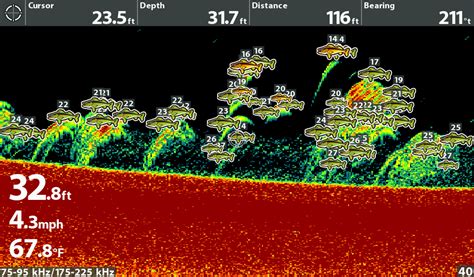 We encourage you to read this. Humminbird Fish ID system