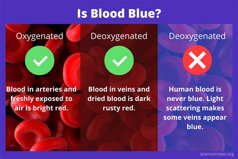 Is Blood Blue In Veins Or The Body