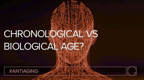 Chronological Biological And Immunity Age Learning How To Age At Your