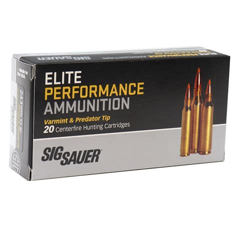 Sig Sauer Elite Performance 243 Winchester Ammo 55 Gr Tipped Hp Ammo