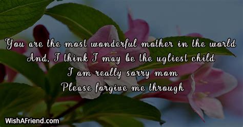 you are the most wonderful mother i am sorry message for mom