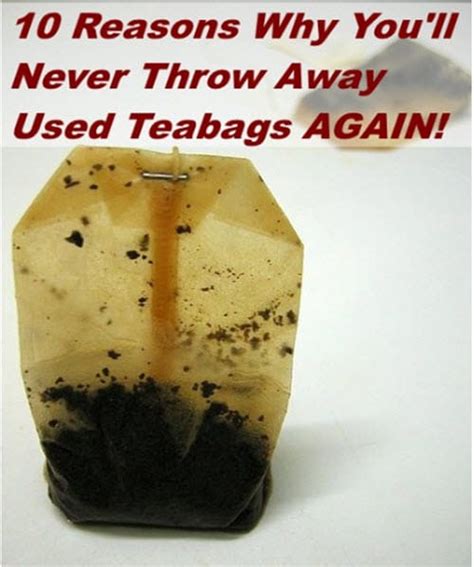 10 Reasons Why Youll Never Throw Away Used Tea Bags Again Homestead