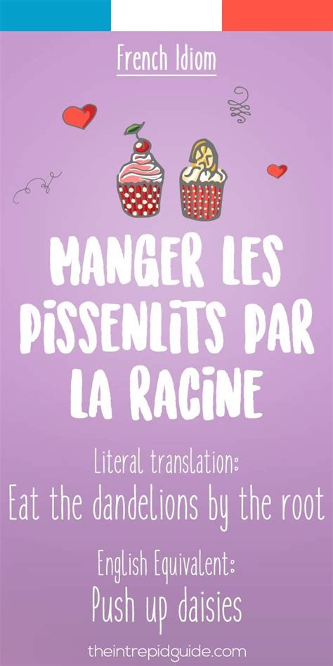 25 Funny French Idioms Translated Literally That You Should Use Learn