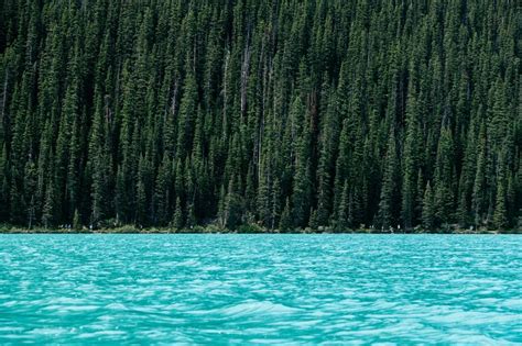 Wallpaper Id 228626 Choppy Turquoise Lake With Tall Evergreen Trees