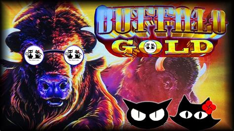 Buffalo Gold Reel Riches The Slot Cats Las Vegas Updated