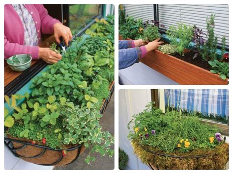 We Love This Herb Garden In A Window Box Idea Grow Food Herbs Where