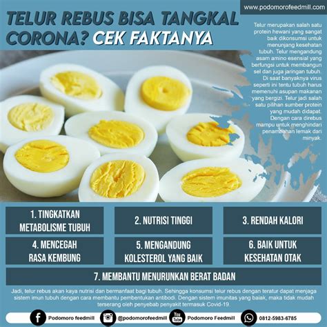Kalori Telur Rebus Newstempo