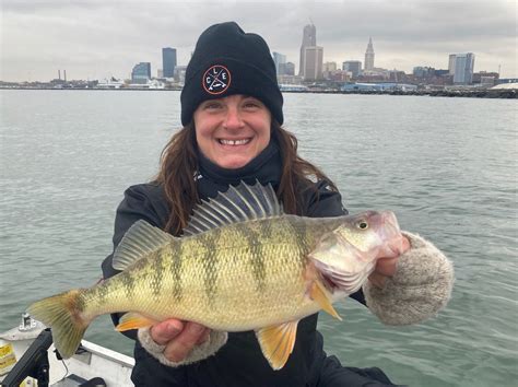 Yellow perch finally make an appearance: NE Ohio fishing report for ...