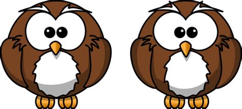 Two Owls Public Domain Vectors