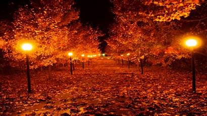 Autumn Night Fall Scary Happened