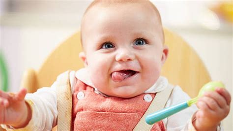 Cuna, coche, gavetero, cama, bebe, comer,moisés, sillas, cunas, gaveteros, colchones, cambiadores, lamparas, seguridad, almohadas, mecedoras, camas de niños, cunas que se mecen, mesas y sillas de bebes, sillas de comer para bebe, mobiliario. Robots de cocina para bebés: Guía de compra y los mejores ...