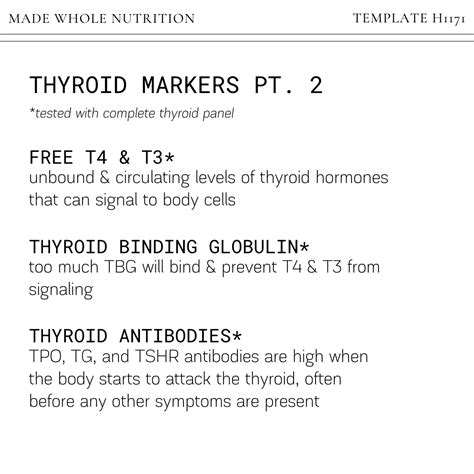 A Simple Guide To Thyroid Health Understanding A Complete Thyroid