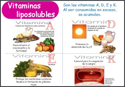 Beneficio De Las Vitaminas Liposolubles Beneficios Para La Salud De