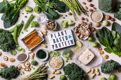 Can Plant Based Protein Boost Your Muscle Health Science For Sport