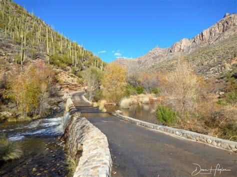 Sabino Canyon Tucson All You Need To Know Before You Go With