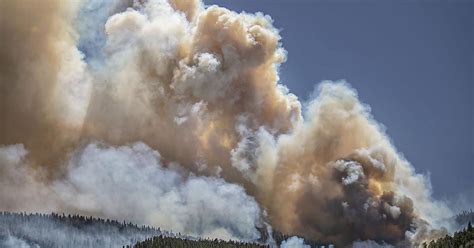 April Bowen Buzz Forest Fire Nova Scotia 2022