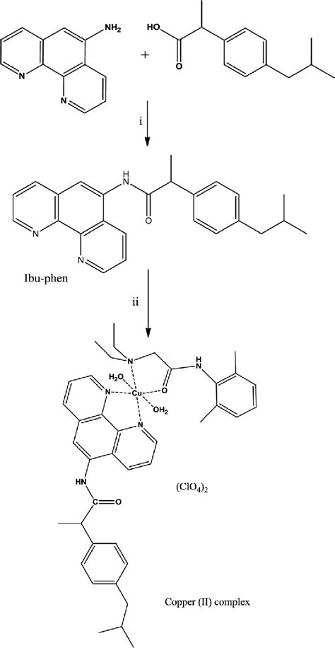 Scheme 1 Synthetic Pathways Of The Ligand Ibu Phen And The Copperii