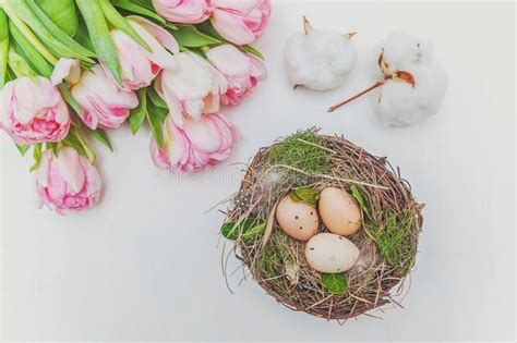 Easter Eggs In Nest With Moss And Pink Fresh Tulip Bouquet On Rustic